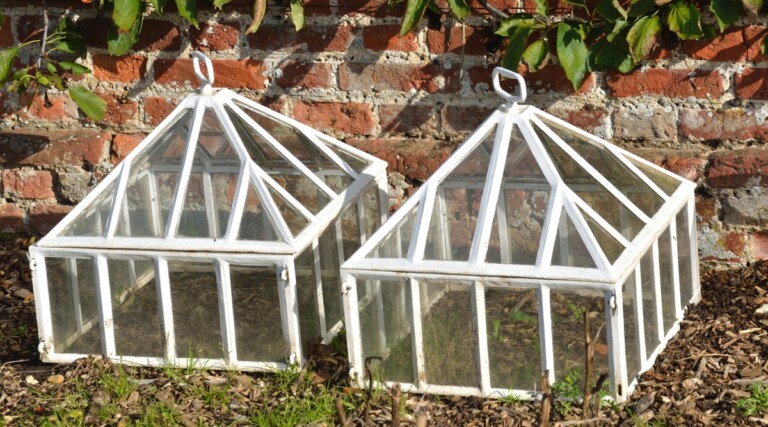 Gallery Detail: How To Use Cloches And Critter Cages To Protect Young