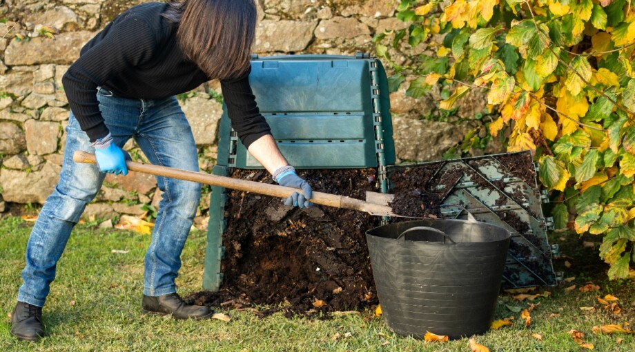 5 Composting Myths You Shouldn't Believe