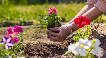 15 Ways to Protect Your Plants From Extreme Heat