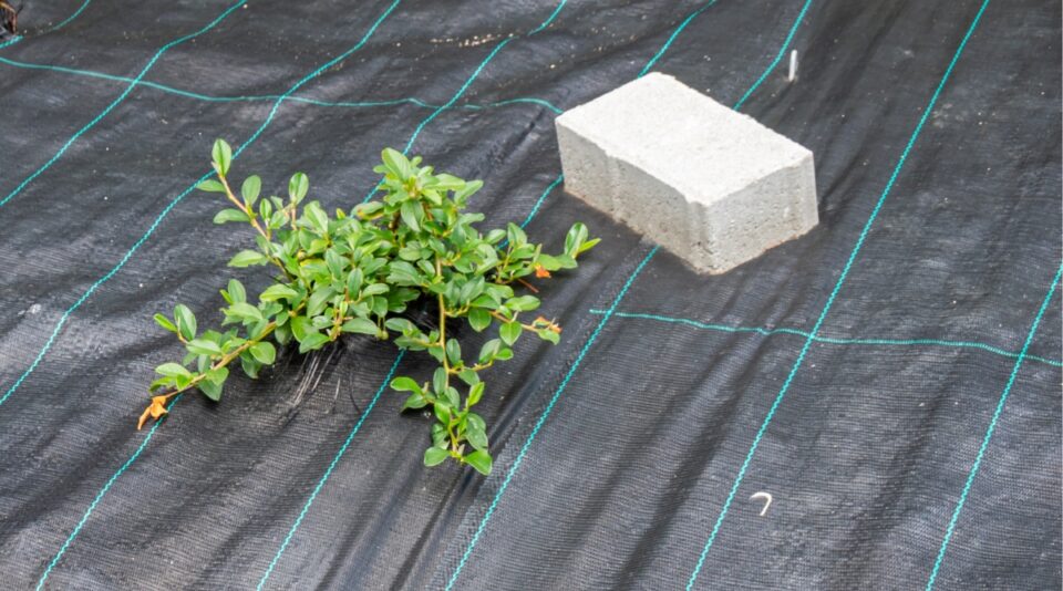 10 Ways to Spend Less Time Weeding