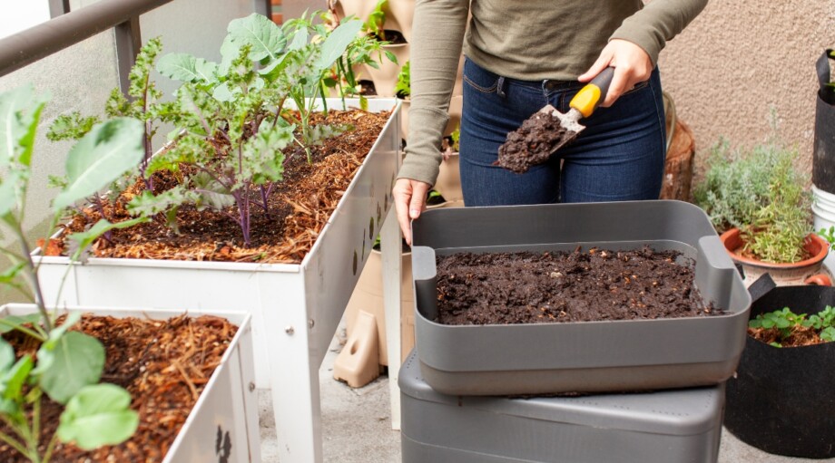 How to Build a Regenerative Garden