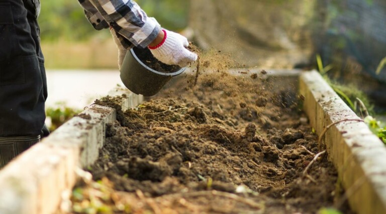 How to Build a Regenerative Garden
