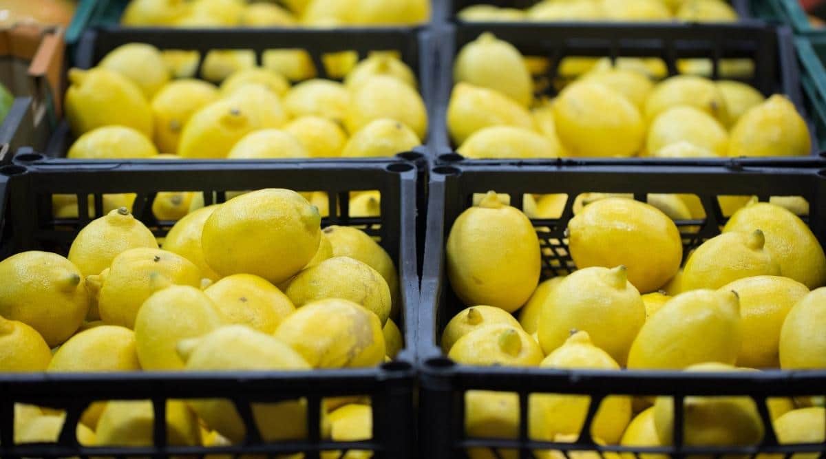 Crates of Lemons
