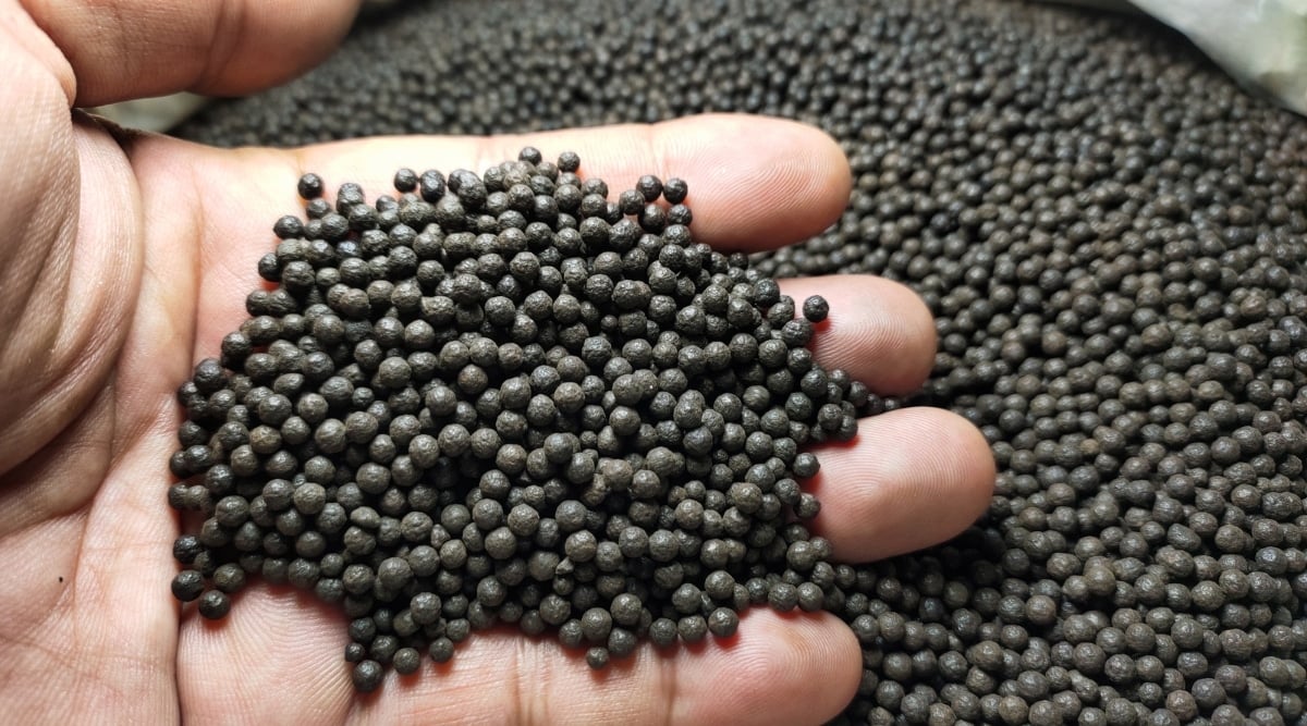 A man is holding a handful of dark granulated fertilizer in his palm. The sack of fertilizer beside him seems to be full, ready to be used for gardening or farming.