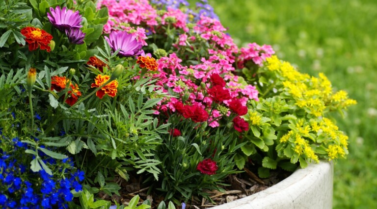 How to Build a Regenerative Garden