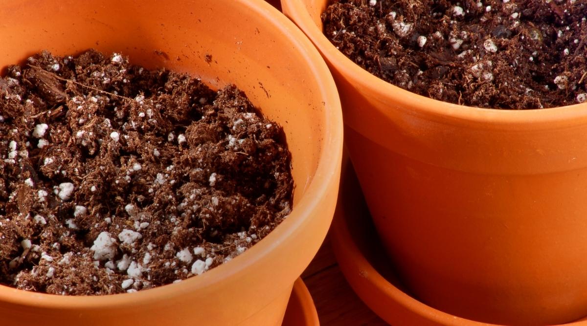 Mixed Fertilizer with Soilless Potting Media
