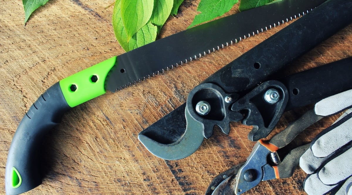 On a brown table, a saw, pruning shears, gloves, and green leaves are laid out. The saw and pruning shears are sharp and metallic, with black handles, while the gloves are thick and gray in color.