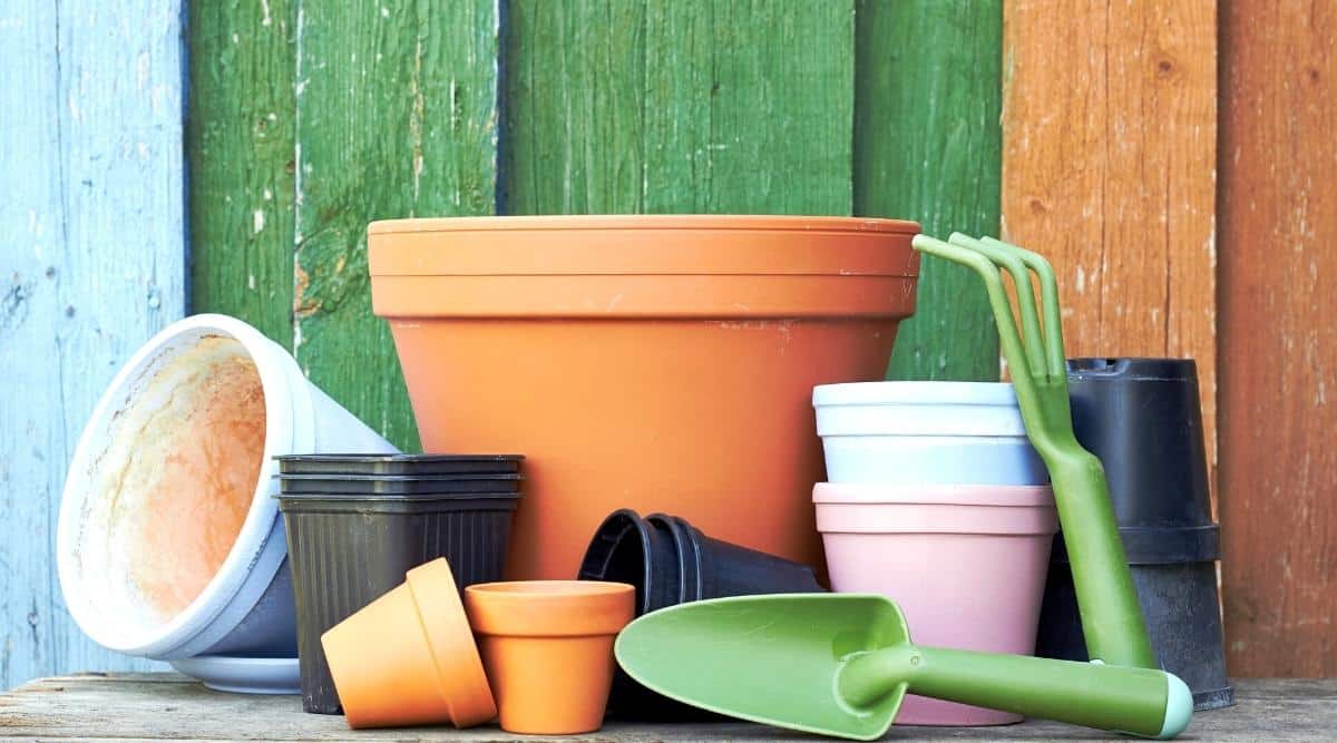 Flower pots of different sizes and colors made of terracotta clay and plastic are placed side by side on a wooden table against the background of a wooden multi-colored wall. There are also gardening tools on the table, such as a green shovel and a green rake.