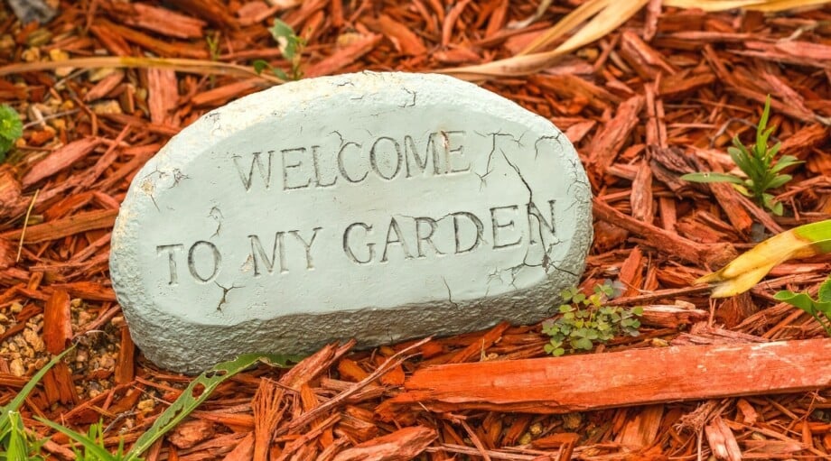 Cedar Mulch Should You Be Using it in Your Garden?