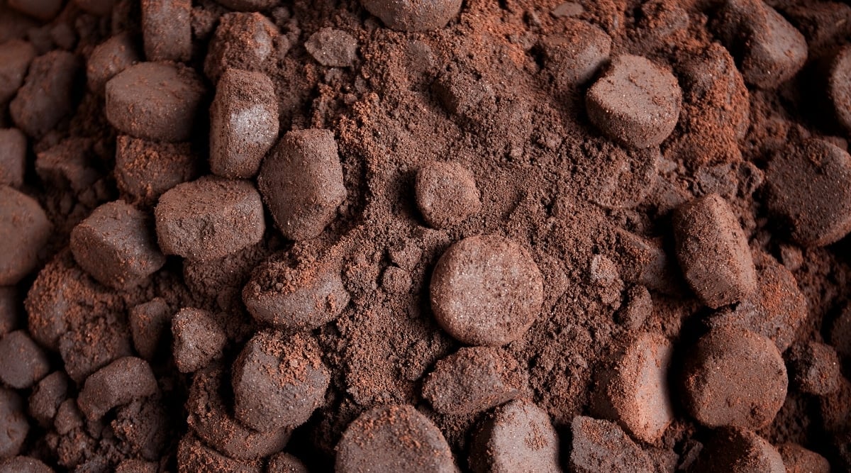 Close-up of unused coffee grounds pressed into rounded briquettes. Coffee grounds are dark brown, crumbly.