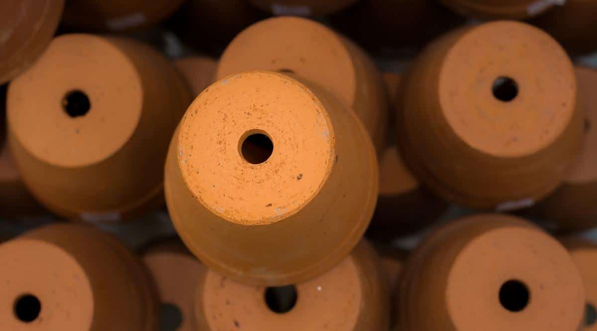 Many Pots with Large Drainage Holes