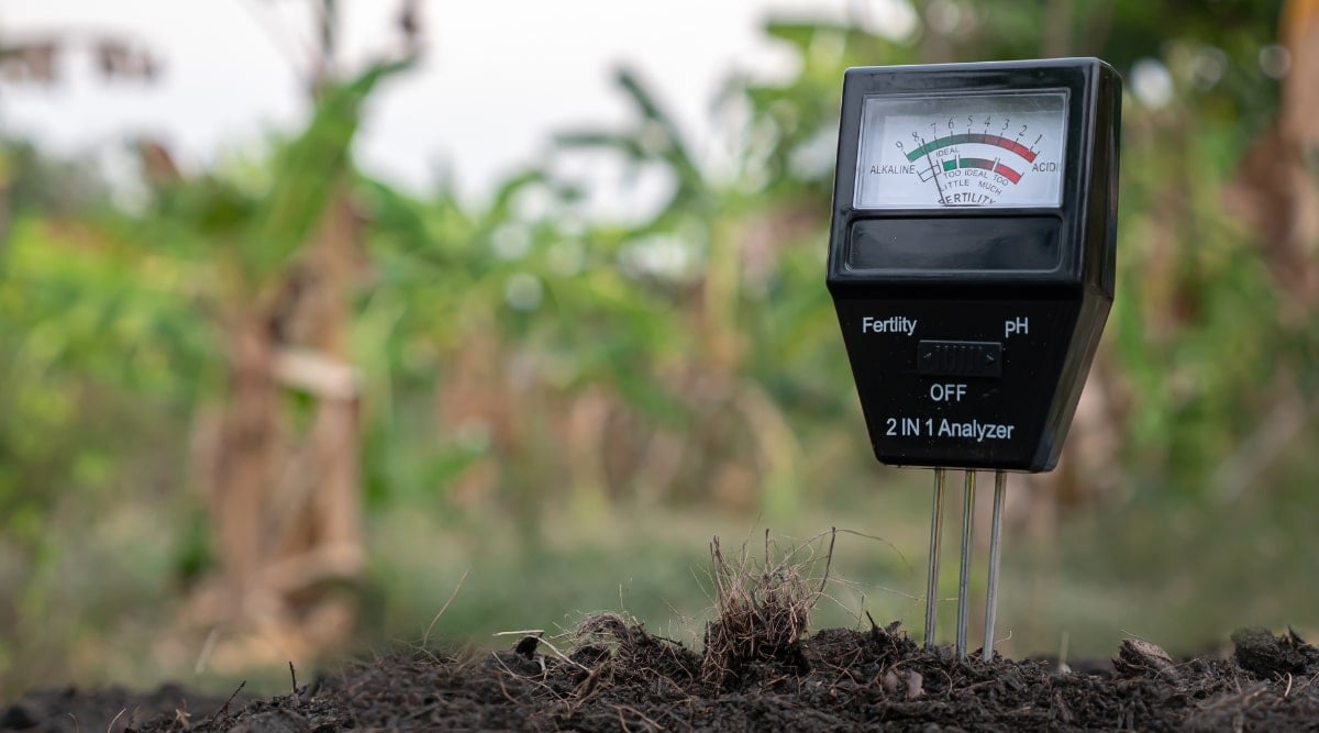 Close up of a PH soil monitor stuck in the soil.