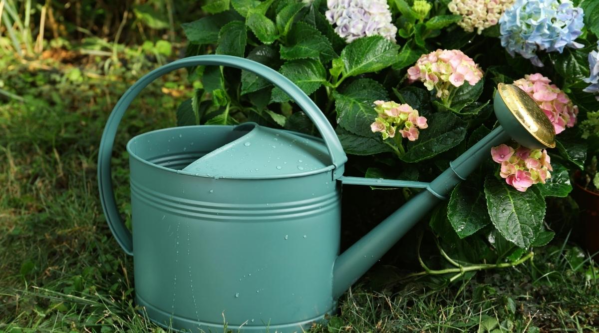 Watering can