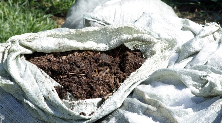 How to Plant Your Live Christmas Tree