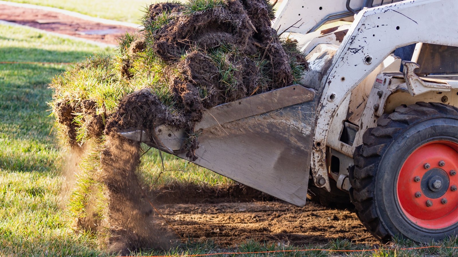 Why Get Rid of Your Grass: Create a Low-Maintenance Landscape