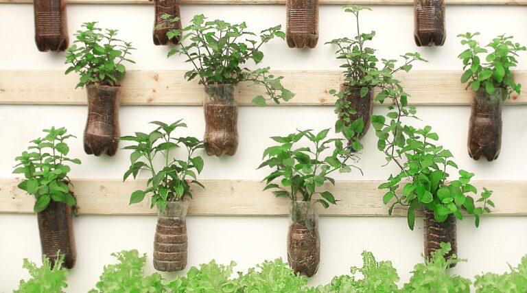 How to Create a Vertical Herb Garden in Your Kitchen