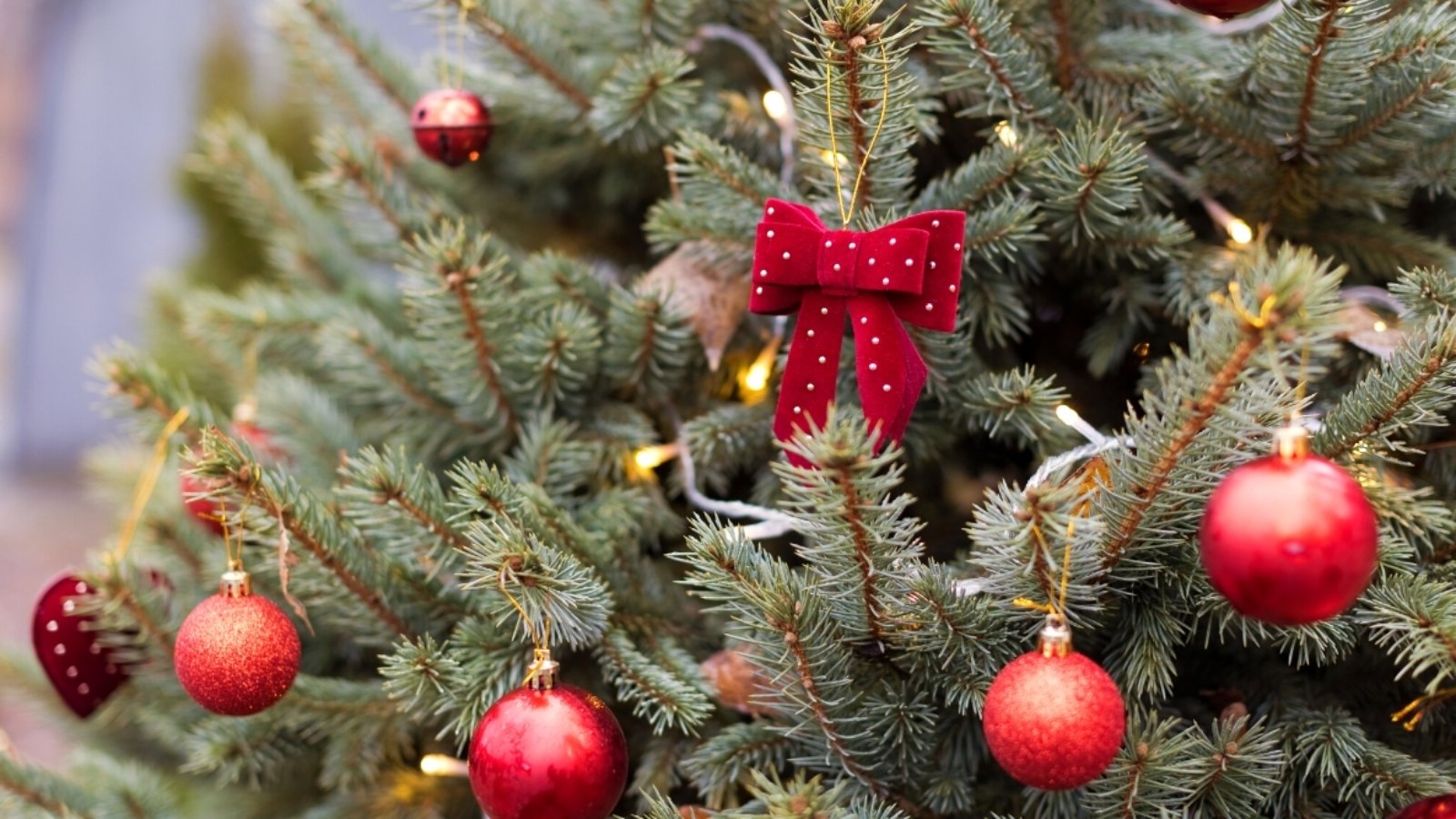 Christmas tree with red decorations and lights close up