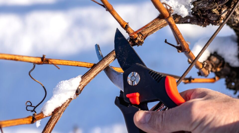 24 Trendy Raised Flower Garden Layout Ideas That Guide Planting