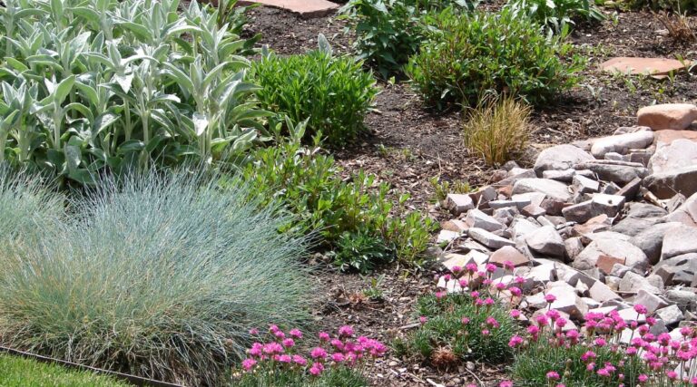 Photo inspiration: 29 Best Plants For Your Rain Garden Photo Inspiration