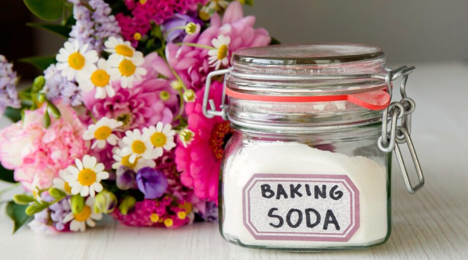 How To Make Cut Flowers Last Longer 11 Pro Tips how-to-make-cut-flowers-last-longer-11-pro-tips