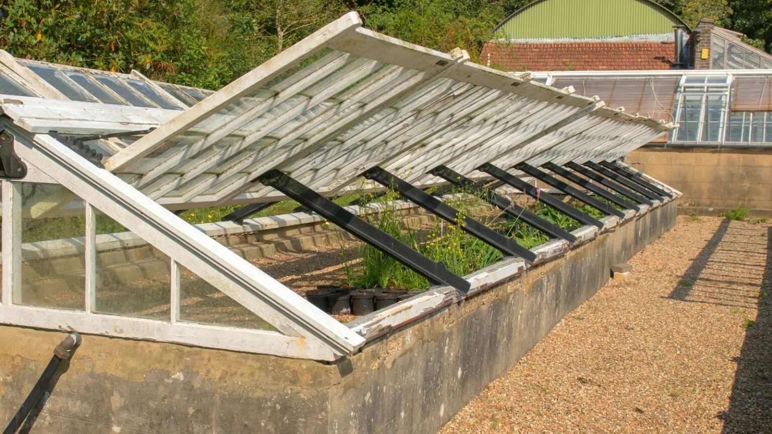 9 Ways to Protect Your Raised Bed Vegetable Garden From Frost