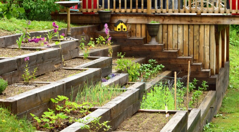 19 Tips for Gardening on a Hill or Slope