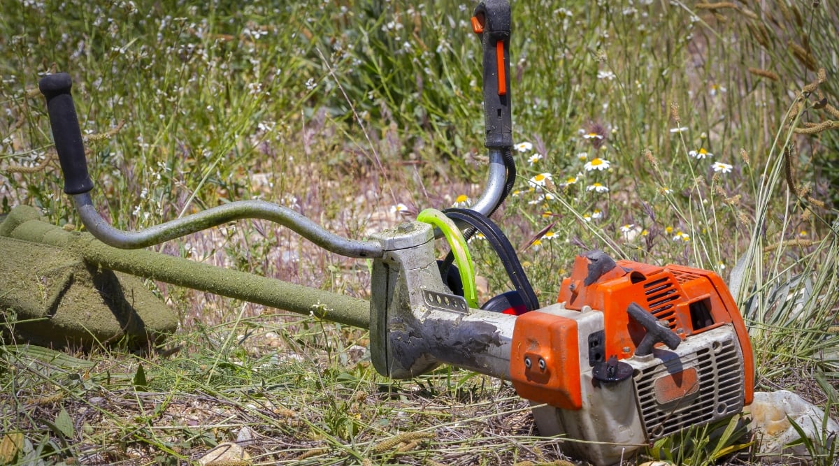 A close-up scene unfolds in the garden: a trusty green brush cutter, its armor adorned with the spoils of war - clinging grass clippings. Sunlight gleams off the sharpened blade, poised to conquer the towering enemy grass in the background. 

