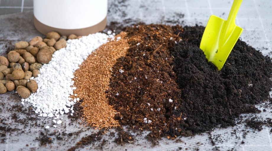 What's the Best Soil for Succulents?
