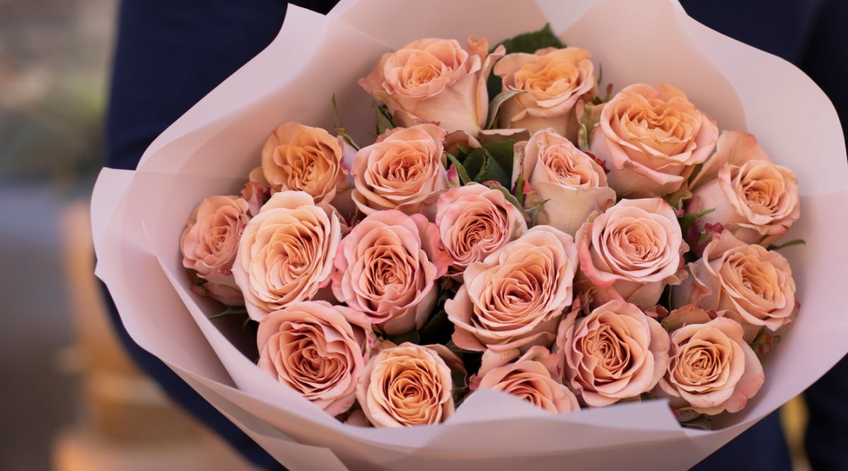 How Long do Cut Roses Last?