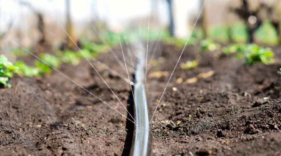 How Often and How Long Should I Run Drip Irrigation?