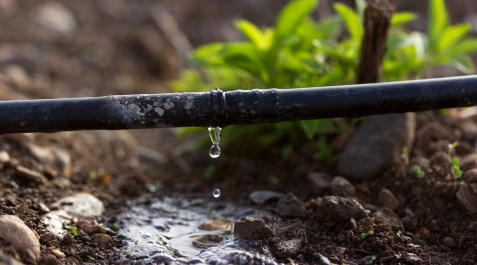 How Often and How Long Should I Run Drip Irrigation?