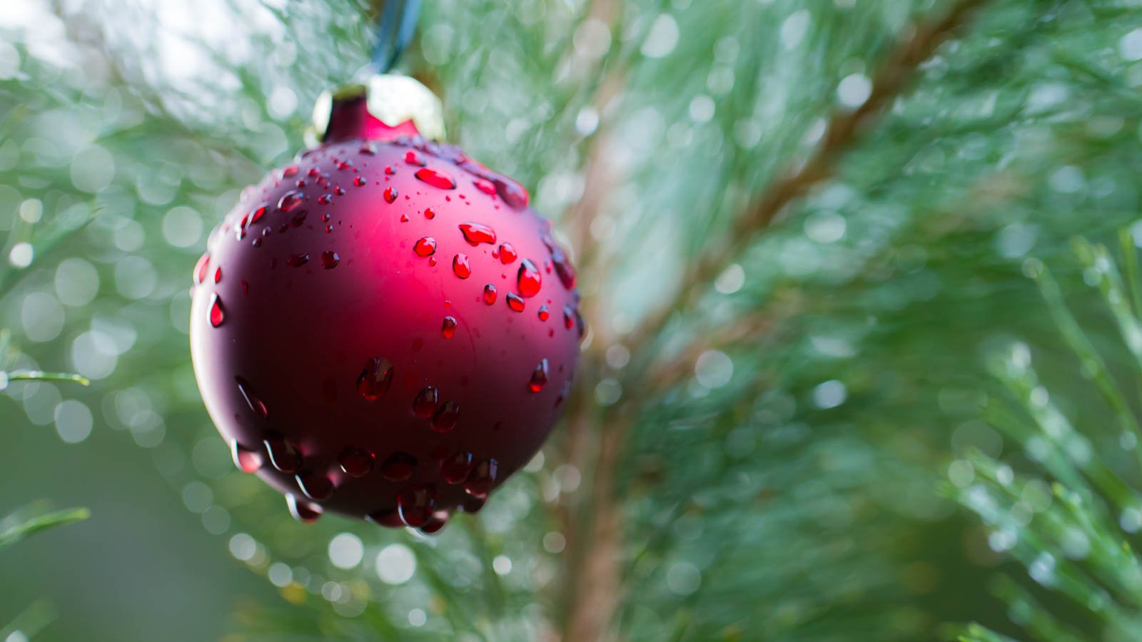 Red Christmas tree bauble with water droplets after spraying.