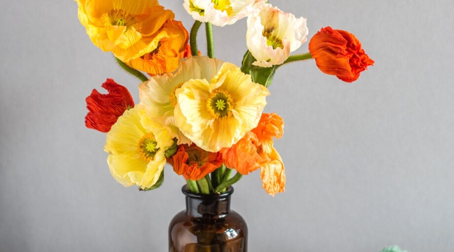 Small Scarf  Island Poppies