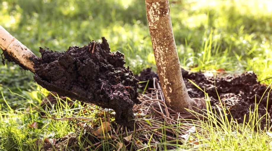 Should I Sterilize Compost Before Use?