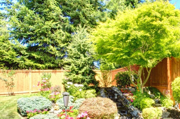 A serene garden glows with colorful flowers and trees, embracing the warmth of the radiant sunlight. Beyond the sturdy wooden fences, towering trees provide a verdant backdrop, adding depth to the picturesque scene.