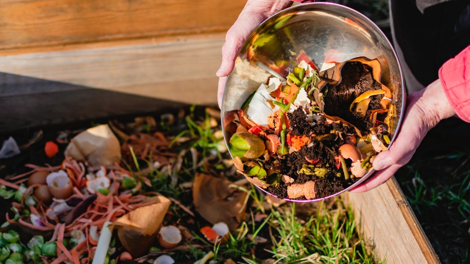 Close-up of a gardener emptying a bowl of kitchen scraps into a large wooden compost bin. The bowl contains various scraps of fruit peels and skins, coffee grounds, egg peels and others.