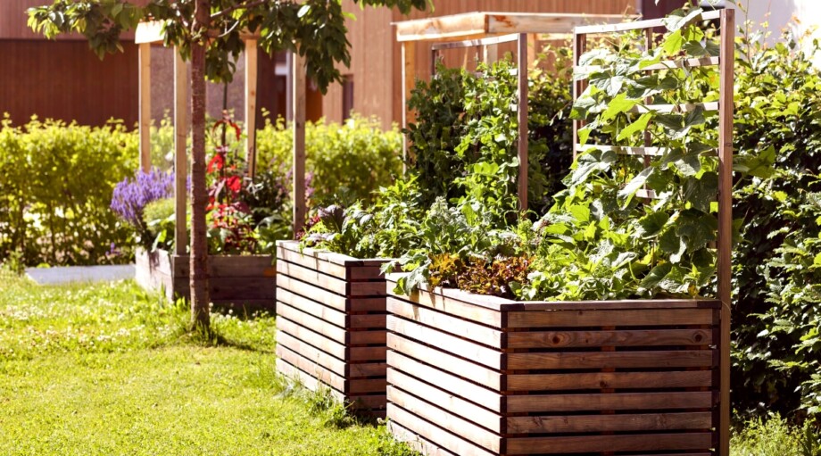 View of 18 Beautiful Design Ideas for Small Gardens
