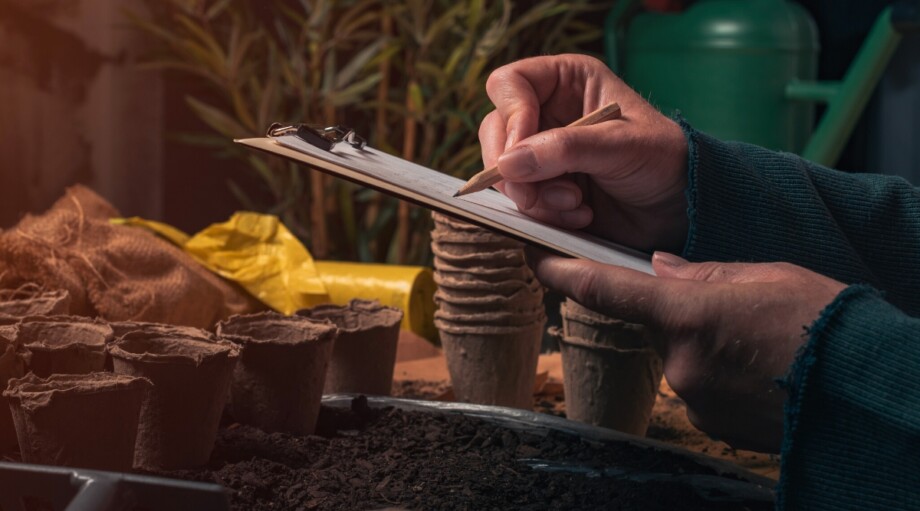 15 Tasks To Do in February For a Thriving Spring Garden