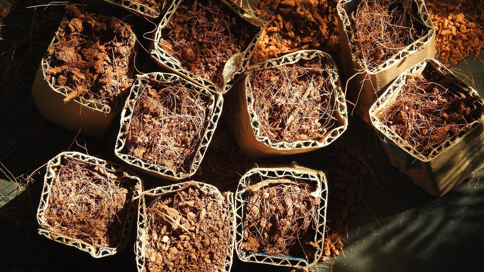 Close-up of several used cardboard paper planting pots filled with potting mix. These pots are made from cardboard paper as a recyclable and degradable material.
