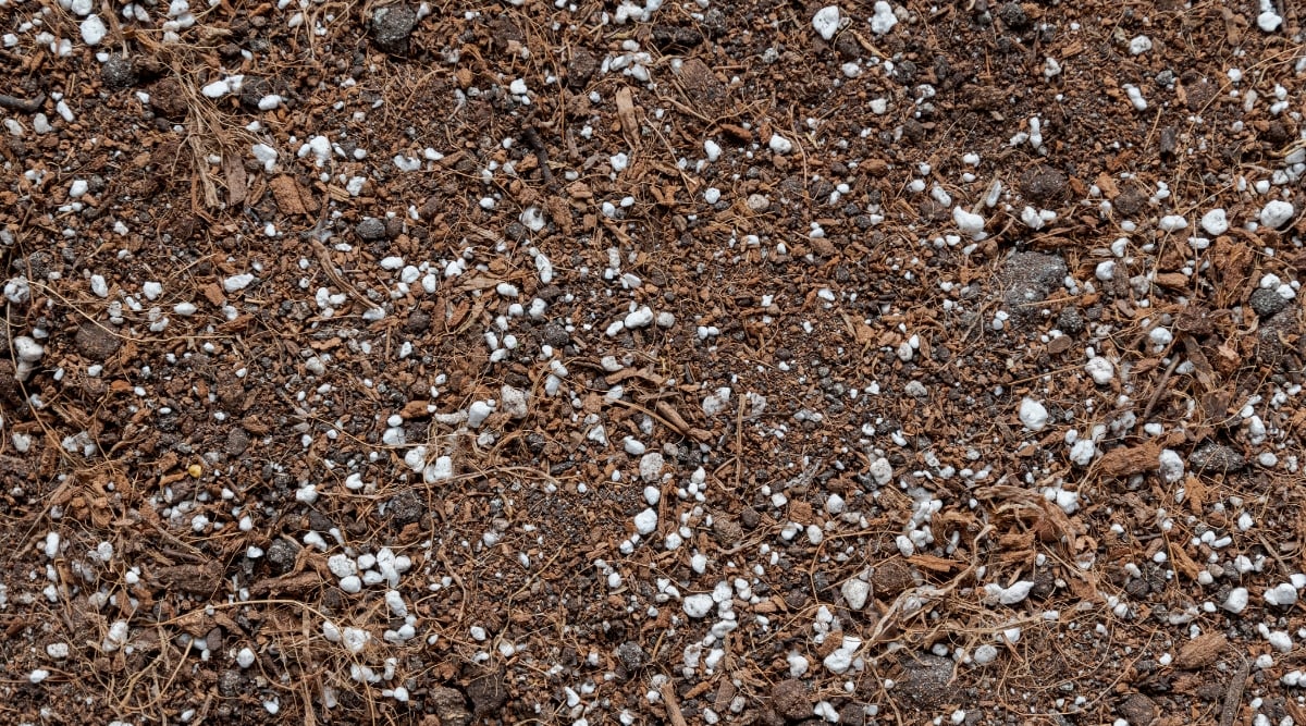 A well-draining potting mix, ideal for healthy plant growth, featuring a blend of nutrient-rich soil components. The mix presents a harmonious combination of brown and white hues, offering an aesthetically pleasing appearance for an indoor or outdoor gardening project.