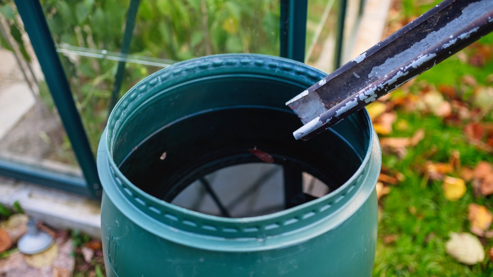 Close-up of a turquoise barrel half-filled with rainwater in the garden. A metal drain pipe extends from the roof into a barrel collecting raindrops.