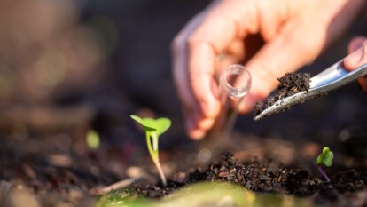 BETTER GARDENS BEGIN WITH A SOIL TEST visual data 3