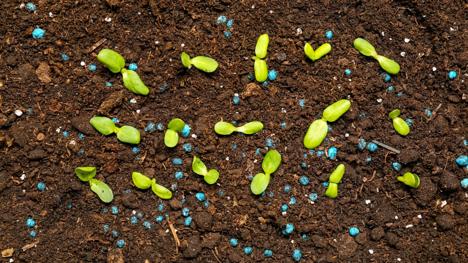 15 Tasks to do in March for a Flourishing Spring Garden
