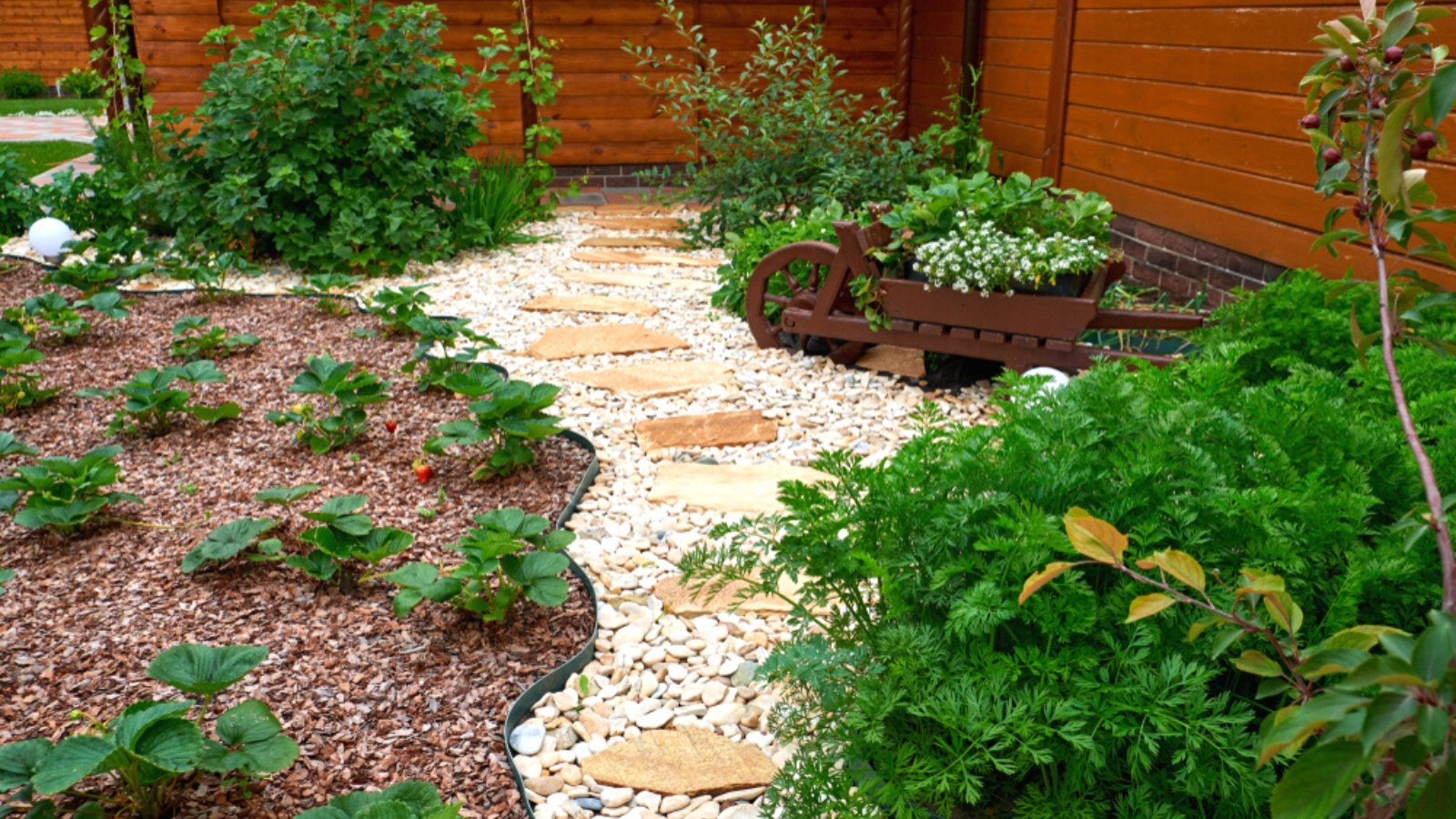 Close-up of flowerbed with bricks pathways. Strawberries, Sweet Alyssum, Malus domestica Redlane, and others grow in the flower beds. The beds are mulched with bark. The path consists of light beige and gray gravels.