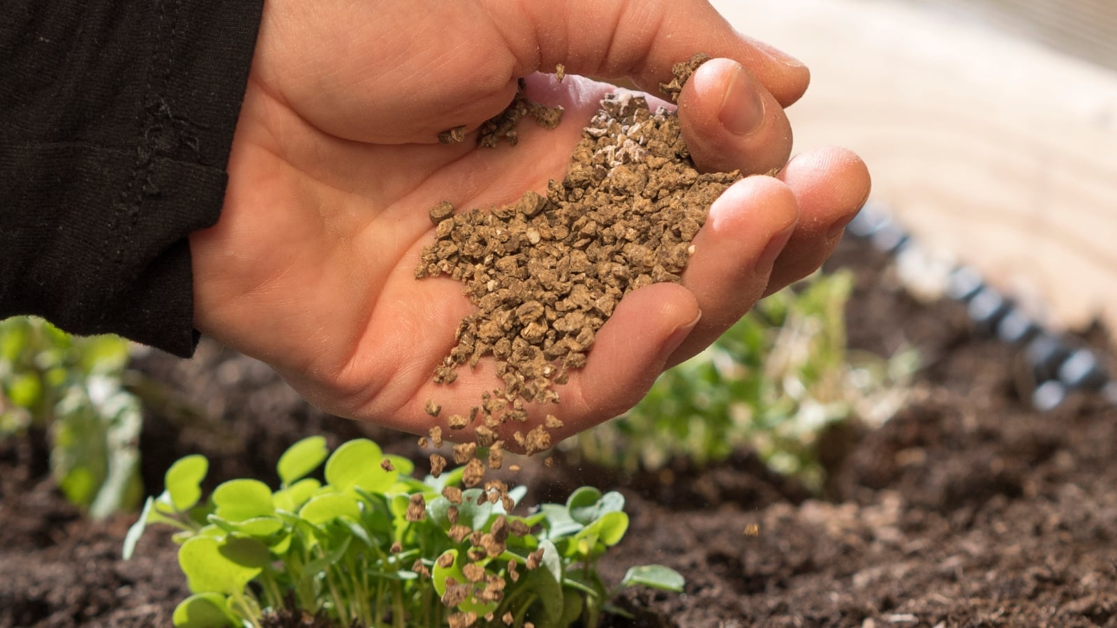 Tea Seed Meal Powder manufacturer Tea Seed Meal Powder manufacturer