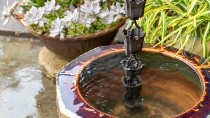 View of 13 Beautiful Design Ideas for Rain Gardens