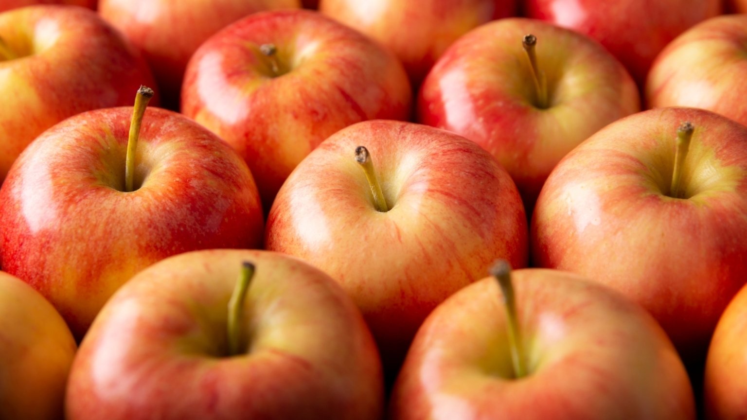 How to Plant, Grow, and Care for 'Gala' Apple Trees