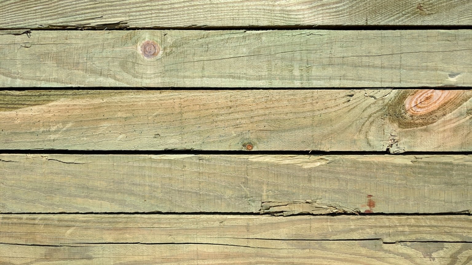 Can You Use PressureTreated Wood For Garden Beds?