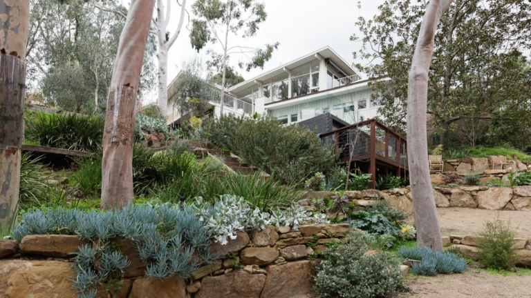 21 Plants For Mid-Century Modern Home Gardens