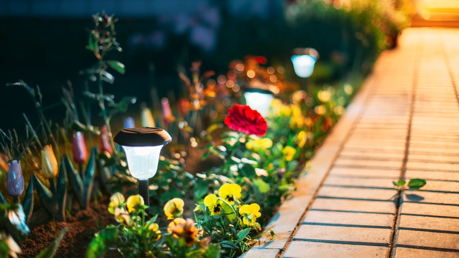 Close-up of a flower bed with small Solar Garden Lights. Solar garden lights are elegant and practical outdoor lighting fixtures designed to harness solar energy for illumination. They feature a compact, weather-resistant design with a photovoltaic panel on top to absorb sunlight during the day. These lights have LED bulbs that emit a soft, ambient glow at night. Carnations and yellow pansy are blooming in the flowerbed.